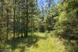  293 Acres Scruggs Road - Photo 7