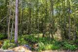  293 Acres Scruggs Road - Photo 9
