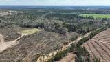 21.8 Acres Flournoy Road - Photo 10