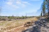 21.8 Acres Flournoy Road - Photo 11