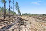 21.8 Acres Flournoy Road - Photo 12