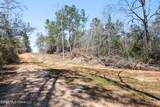 21.8 Acres Flournoy Road - Photo 17