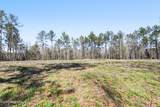 21.8 Acres Flournoy Road - Photo 18