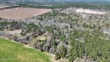 21.8 Acres Flournoy Road - Photo 3