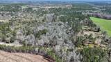 21.8 Acres Flournoy Road - Photo 6