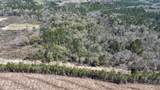 21.8 Acres Flournoy Road - Photo 7