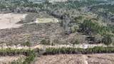 21.8 Acres Flournoy Road - Photo 8