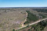 1009 Chance Road - Photo 11