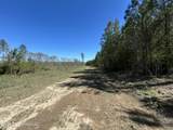 1009 Chance Road - Photo 29