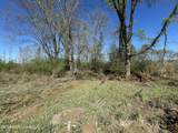 1009 Chance Road - Photo 31