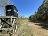 1009 Chance Road - Photo 32