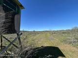 1009 Chance Road - Photo 47