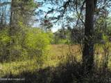 000 Berry Drive - Photo 5