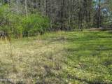 000 Berry Drive - Photo 6