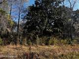  00 Gavin Hamilton Rd - Photo 4