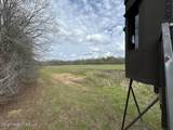 954 Jones Landing Road - Photo 49
