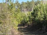 0 Delancey Road - Photo 5