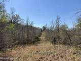  Brozville Road - Photo 15