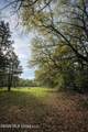 14 Acres F Z Goss Road - Photo 1