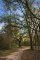14 Acres F Z Goss Road - Photo 10