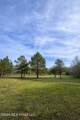 14 Acres F Z Goss Road - Photo 4