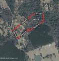 14 Acres F Z Goss Road - Photo 8