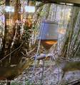 50 Oakdale Church Road - Photo 6