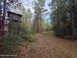  Conerly Drive - Photo 14