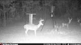 285 Mount Horeb Road - Photo 14