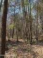 285 Mount Horeb Road - Photo 17