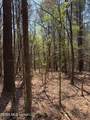 285 Mount Horeb Road - Photo 18