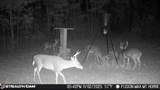 285 Mount Horeb Road - Photo 23