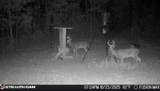 285 Mount Horeb Road - Photo 24