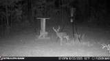 285 Mount Horeb Road - Photo 25