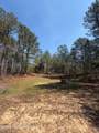 285 Mount Horeb Road - Photo 6