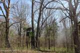 1200 Pottery Road - Photo 30