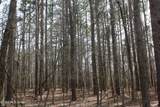 4500 Jaybird Road - Photo 15