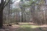 4500 Jaybird Road - Photo 18