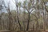 4500 Jaybird Road - Photo 21
