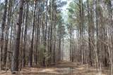 4500 Jaybird Road - Photo 24