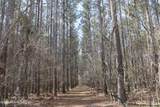 4500 Jaybird Road - Photo 46