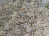 4500 Jaybird Road - Photo 8
