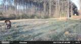  Cutts Road - Photo 17