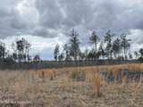  Cutts Road - Photo 5