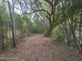 000 Klein Road - Photo 2