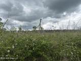  Highway 184 - Photo 10