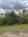  Highway 184 - Photo 21