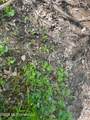 150 Central Boulevard - Photo 47