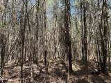 Auburn Drive - Photo 14