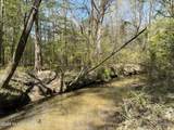  Auburn Drive - Photo 22